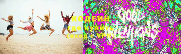 ГАЛЛЮЦИНОГЕННЫЕ ГРИБЫ Яровое